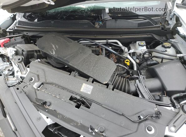 1GCPSBEK0S1208004 2025 CHEVROLET COLORADO Белый Вид задней части салона
