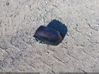 2023 Chevrolet Suburban 4wd Ls Коричневый vin: 1GNSKBKD4PR304184