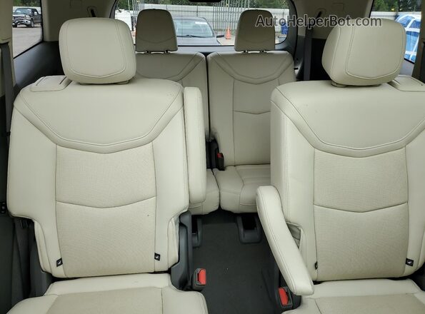 1GYKPCRS0RZ703613 2024 CADILLAC OTHER Red Вид задніх сидінь