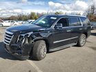 2017 Cadillac Escalade Black vin: 1GYS4AKJ8HR329295
