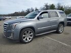 2020 Cadillac Escalade Luxury Silver vin: 1GYS4BKJ5LR115377