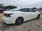 2023 Nissan Maxima Sv Белый vin: 1N4AA6CV2PC509064