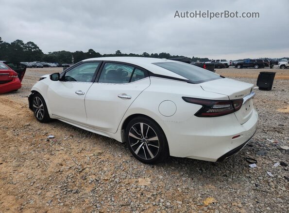1N4AA6CV2PC509064 2023 NISSAN MAXIMA Белый Задняя левая четверть