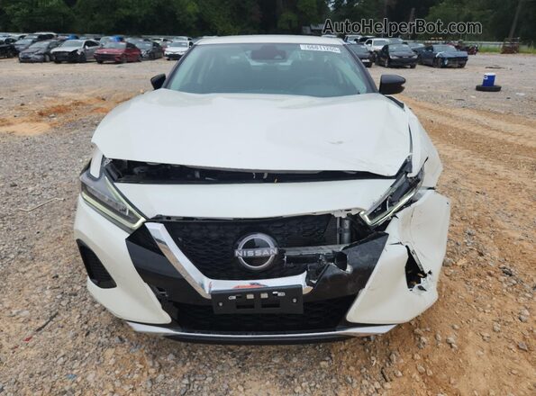 1N4AA6CV2PC509064 2023 NISSAN MAXIMA Белый Вид спереди