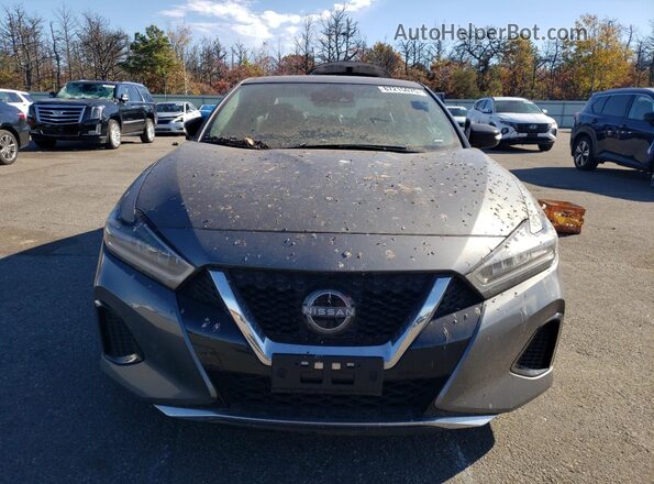 1N4AA6CV8PC512762 2023 NISSAN MAXIMA Gray Widok z przodu