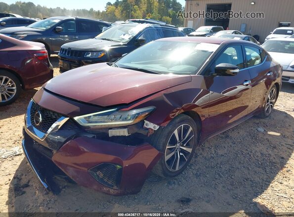1N4AA6CVXMC501936 2021 NISSAN MAXIMA Бордовый Передняя левая четверть