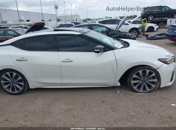 1N4AA6FV3PC503012 2023 NISSAN MAXIMA PLATINUM Белый Вид задней части салона