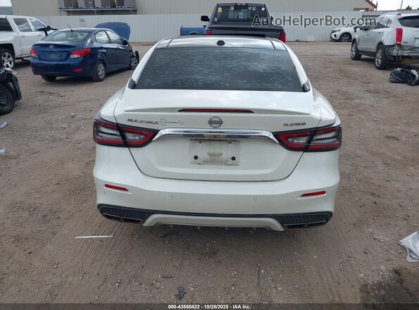 1N4AA6FV3PC503012 2023 NISSAN MAXIMA PLATINUM Белый 
