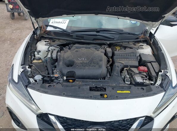 1N4AA6FV3PC503012 2023 NISSAN MAXIMA PLATINUM Белый Вид сзади