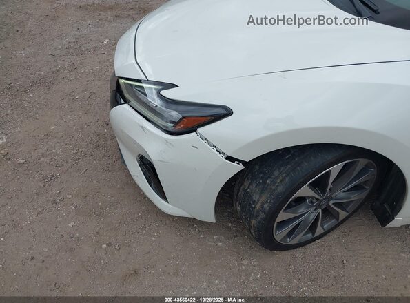 1N4AA6FV3PC503012 2023 NISSAN MAXIMA PLATINUM Белый Вид спереди