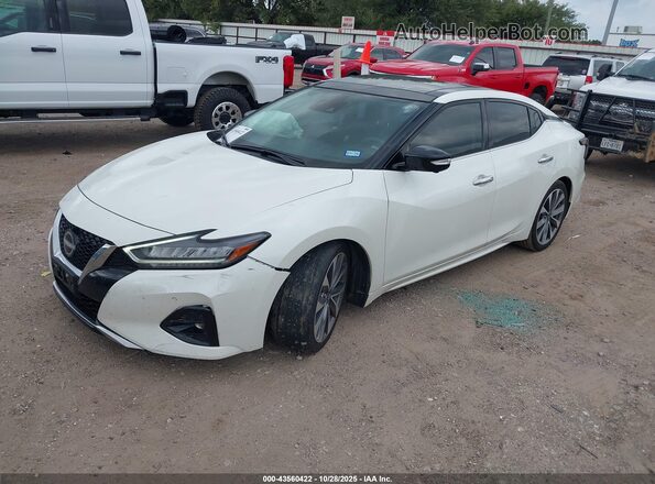 1N4AA6FV3PC503012 2023 NISSAN MAXIMA PLATINUM Белый Передняя левая четверть