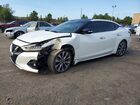 2020 Nissan Maxima Platinum White vin: 1N4AA6FVXLC365253