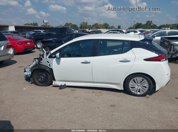 1N4AZ1BV8PC560937 2023 NISSAN LEAF Белый 