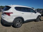 2023 Hyundai Santa Fe Sel White vin: 5NMS2DAJ9PH609342