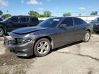 2019 Dodge Charger Sxt Gray vin: 2C3CDXBG9KH698941