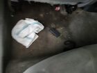 2016 Chevrolet Impala Ls Черный vin: 2G11X5SAXG9131044 Damage: Left Rear Carpet, Stained, Permanent