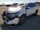 2021 Honda Cr-v Ex White vin: 2HKRW2H55MH616237