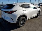 2024 Lexus Nx 250 Base Белый vin: 2T2ADCAZ0RC007200