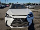 2024 Lexus Nx 250 Base Белый vin: 2T2ADCAZ0RC007200