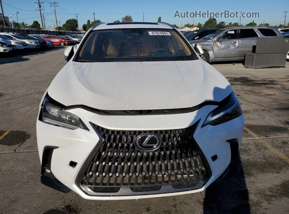 2T2ADCAZ0RC007200 2024 LEXUS NX 250 BAS Белый Вид сзади