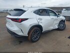 2025 Lexus Nx 250   Белый vin: 2T2ADCAZ0SC030515