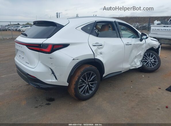 2T2ADCAZ0SC030515 2025 LEXUS NX 250 Белый Задняя правая четверть