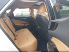 2025 Lexus Nx 250   Белый vin: 2T2ADCAZ0SC030515