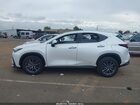 2025 Lexus Nx 250   Белый vin: 2T2ADCAZ0SC030515