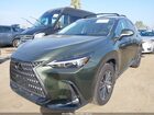 2024 Lexus Nx 250   Green vin: 2T2ADCAZ1RC012020