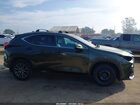 2024 Lexus Nx 250   Green vin: 2T2ADCAZ1RC012020