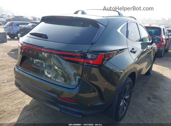 2T2ADCAZ1RC012020 2024 LEXUS NX 250 Green Tył prawy
