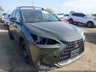 2024 Lexus Nx 250   Green vin: 2T2ADCAZ1RC012020