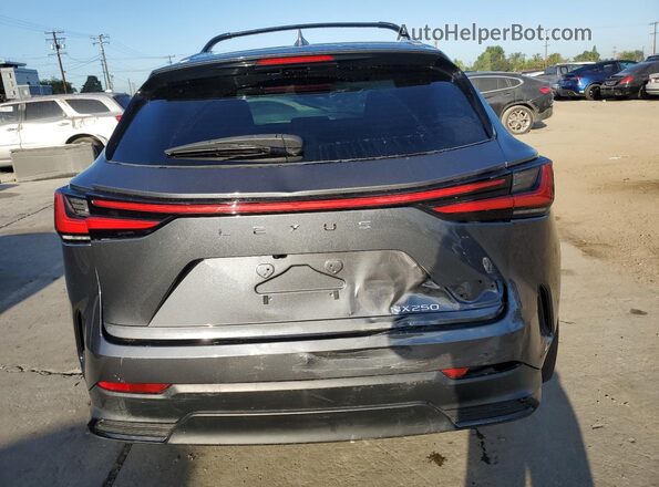 2T2ADCAZ1RC012440 2024 LEXUS NX Серый Вид сзади