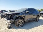 2025 Lexus Nx 250 Base Gray vin: 2T2ADCAZ1SC025498