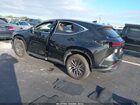 2024 Lexus Nx 250   Черный vin: 2T2ADCAZ3RC014478