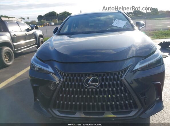 2T2ADCAZ3RC014478 2024 LEXUS NX 250 Черный Вид задней части салона