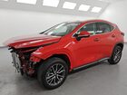 2023 Lexus Nx 250 Red vin: 2T2ADCAZ8PC004865