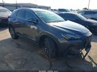 2024 Lexus Nx 250   Gray vin: 2T2ADCAZ9RC010547