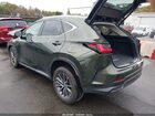 2025 Lexus Nx 350   Зеленый vin: 2T2AGCEZ7SC086971