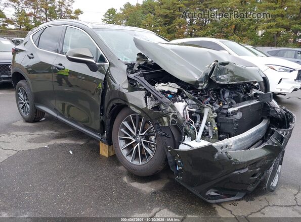 2T2AGCEZ7SC086971 2025 LEXUS NX 350 Зеленый Передняя правая четверть