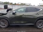 2025 Lexus Nx 350   Зеленый vin: 2T2AGCEZ7SC086971
