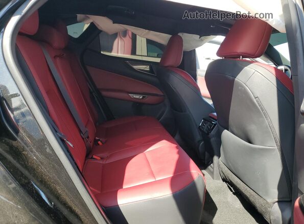 2T2AGCEZ8PC024163 2023 LEXUS NX Black Հետևի նստատեղերի տեսք