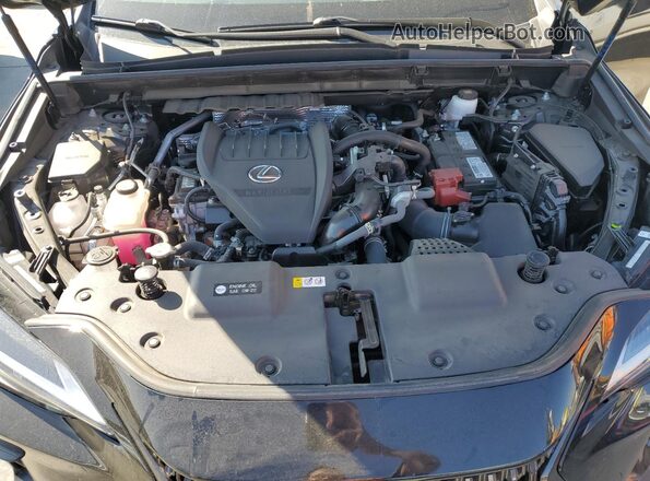 2T2AGCEZ8PC024163 2023 LEXUS NX Black Սալոնի հետևի տեսք