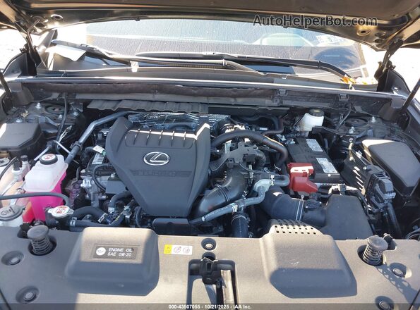2T2AGCEZXSC077021 2025 LEXUS NX 350 Black Widok z tyłu