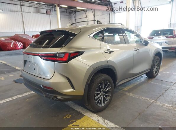 2T2AKCEZ7RC018534 2024 LEXUS NX 350H Gray Tył prawy