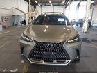 2024 Lexus Nx 350h   Gray vin: 2T2AKCEZ7RC018534