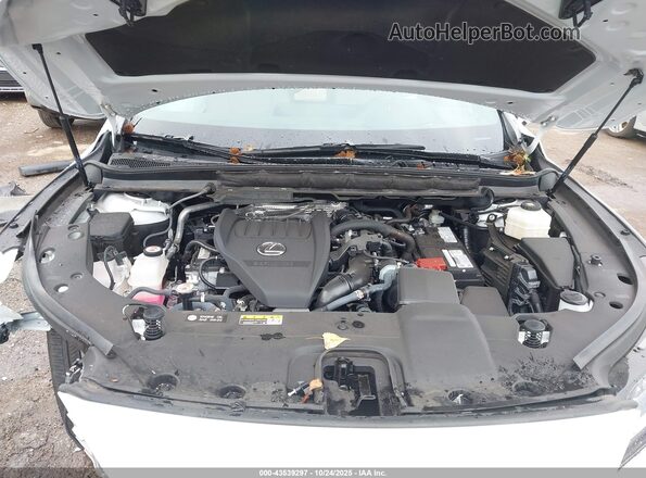 2T2BAMBA7RC026242 2024 LEXUS RX 350 White Widok z tyłu