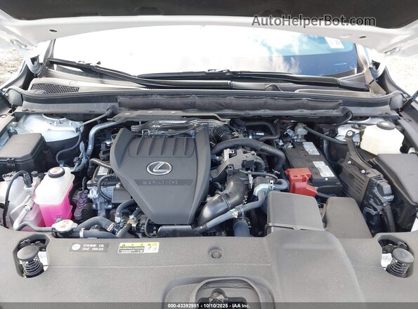 2T2BAMCA0RC057251 2024 LEXUS RX 350 Белый Вид сзади