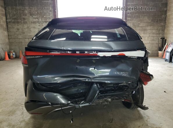 2T2BAMCA0SC110746 2025 LEXUS RX Gray უკანა ხედი