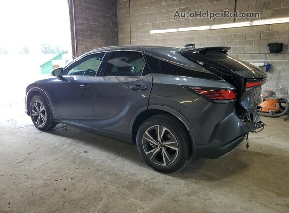 2T2BAMCA0SC110746 2025 LEXUS RX Gray უკანა მარცხენა